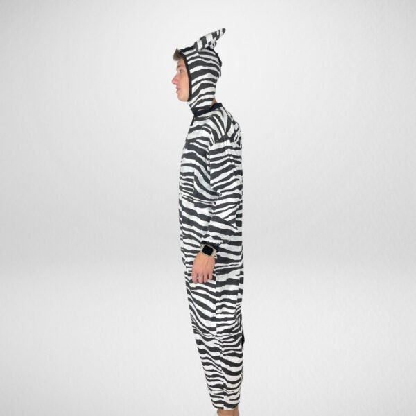 Zebra - Image 2