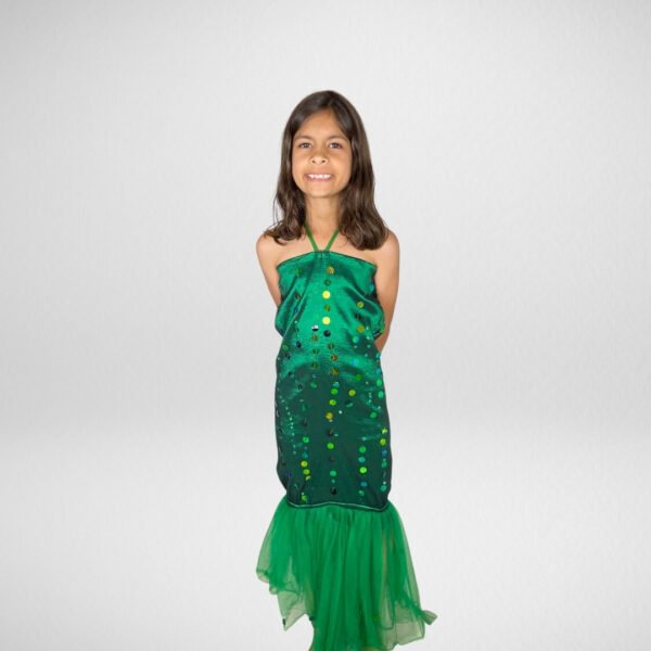 Ariel