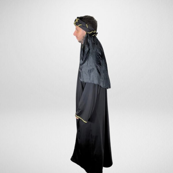 Sheik - Image 2