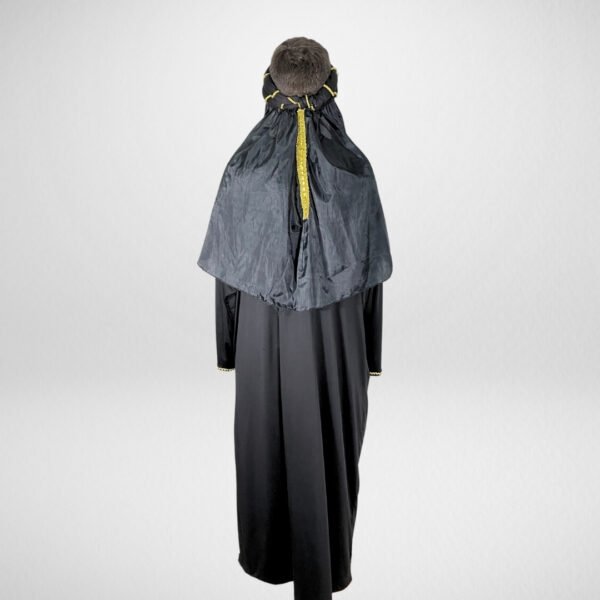 Sheik - Image 3