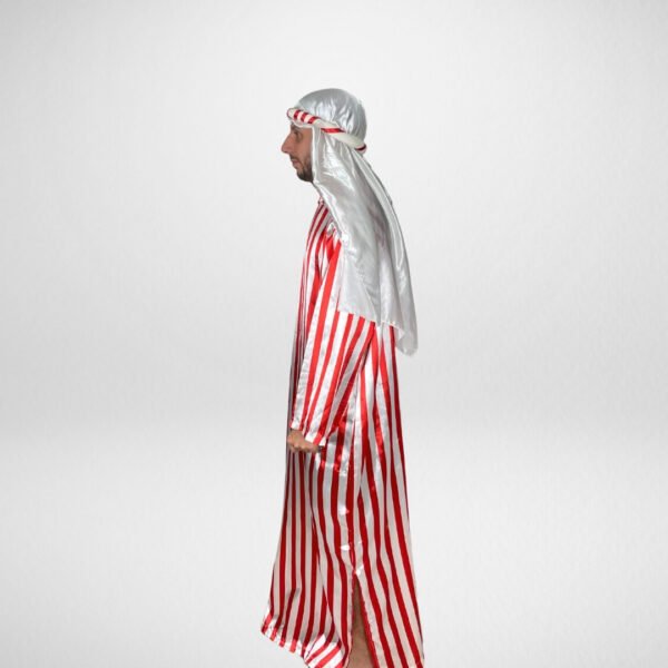 Sheik - Image 2
