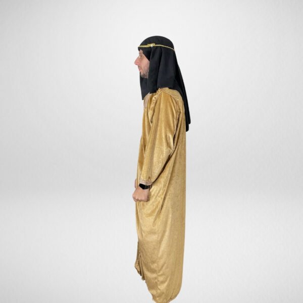 Sheik - Image 2