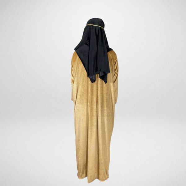 Sheik - Image 3