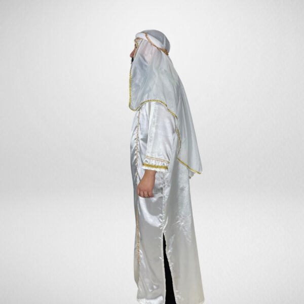 Sheik - Image 2